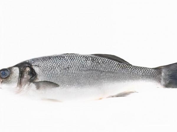 肉質最好的8種魚，魚刺少，味道好，家裡有寶寶的建議收藏