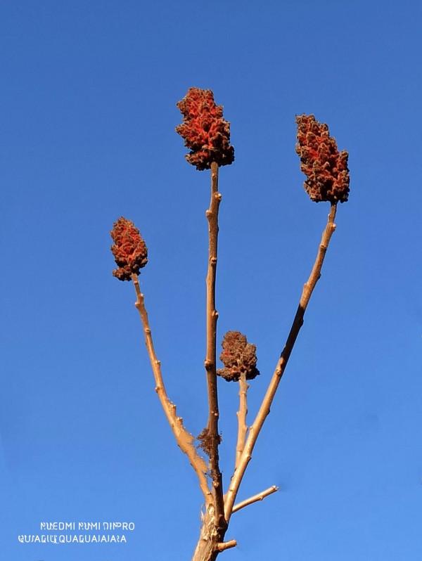 尋找幽靜好去處