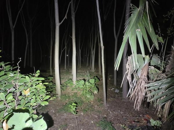 迷你筒身,點亮路途!在路上M3 PRO-2手電體驗 迷你筒身,點亮路途!在路上M3 PRO-2手電體驗