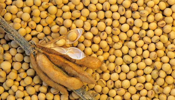 女人明明已經絕經，卻很年輕不“顯老”？4個習慣或是“法寶”