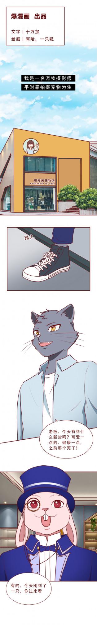 虐待、捆綁、拍攝,一位4歲小女孩被改造成賺錢的工具 虐待、捆綁、拍攝,一位4歲小女孩被改造成賺錢的工具