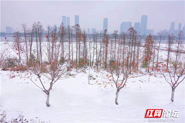 冰天雪地裡看紅裝素裹，感受《沁園春·雪》中壯麗絕美的雪景