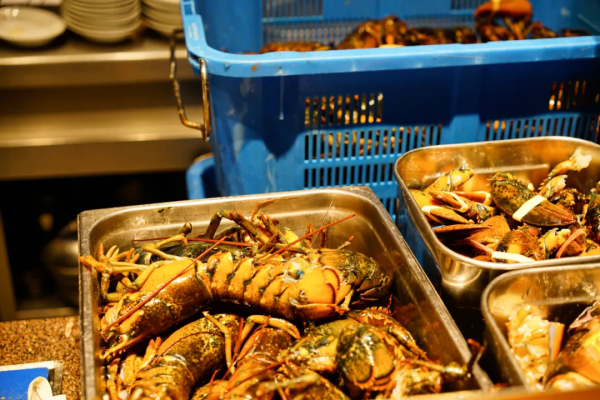 澳門新濠全攻略（米其林星星數最多的綜合體）