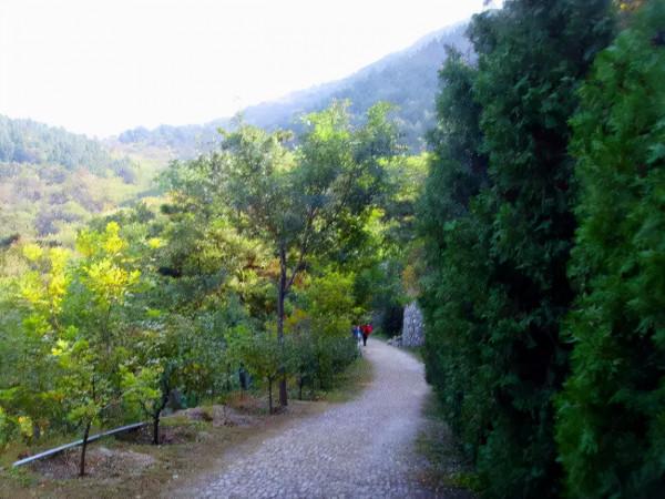 這個太行山餘脈進入京城的最後一道山樑，雪後有意想不到的美