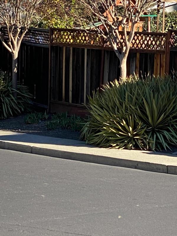 發生在我的美國鄰居們之間的故事