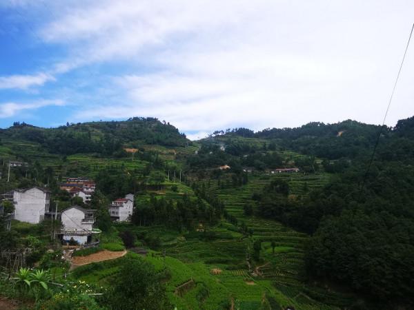 在深山的更深處，浙江農村都是別墅嗎？一一老婆的孃家