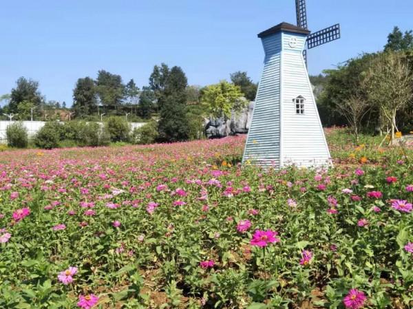 有一種心動，叫黟縣的四季