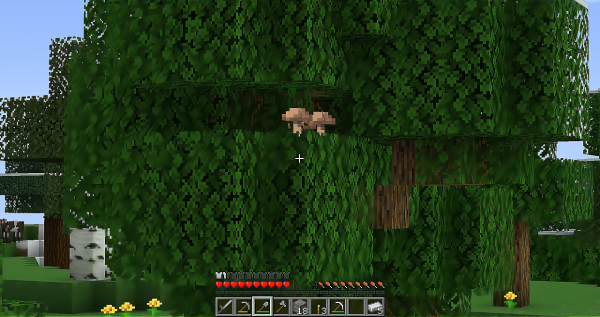 如何只用一張圖證明，你在Minecraft遇見過的最“怪異”的事件？