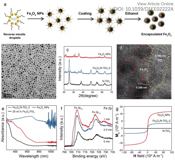 Energy Environ. Sci.：區域性磁場效應，促進光催化水裂解制氫效率