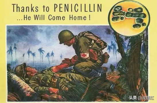 毛人鳳“901計劃”，陰謀暗害上萬志願軍，青黴素摻入神經毒劑