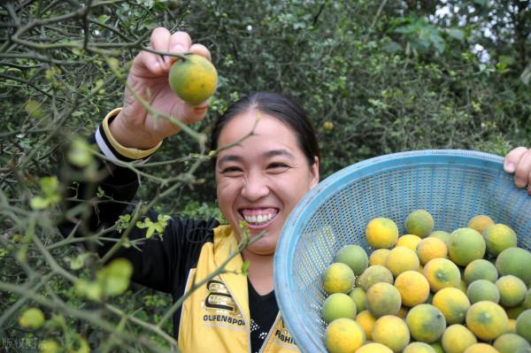 肩周炎、頸椎病、全身疼痛,你知道嗎?可能根源還在脾胃 肩周炎、頸椎病、全身疼痛,你知道嗎?可能根源還在脾胃