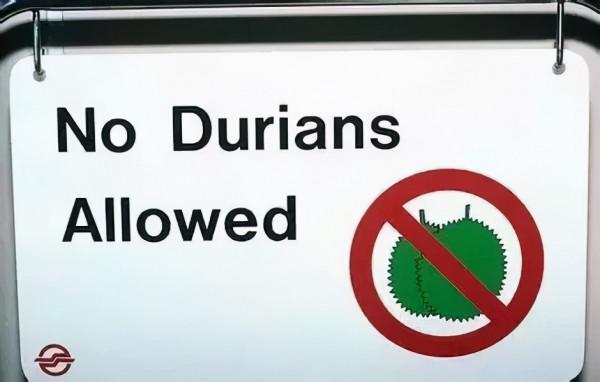 中國遊客在國外拍照被捕，這些出國旅遊禁忌你都知道嗎？