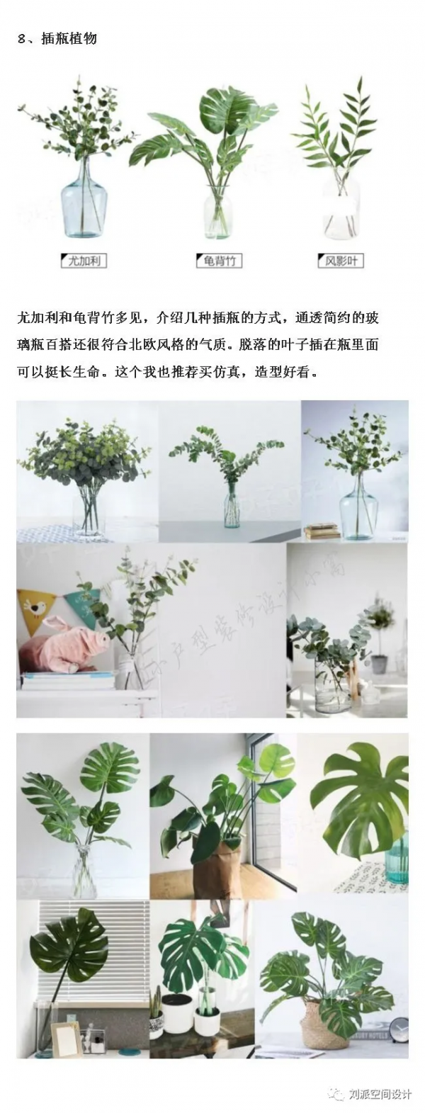 沒有這些綠植，怎麼能叫北歐風？