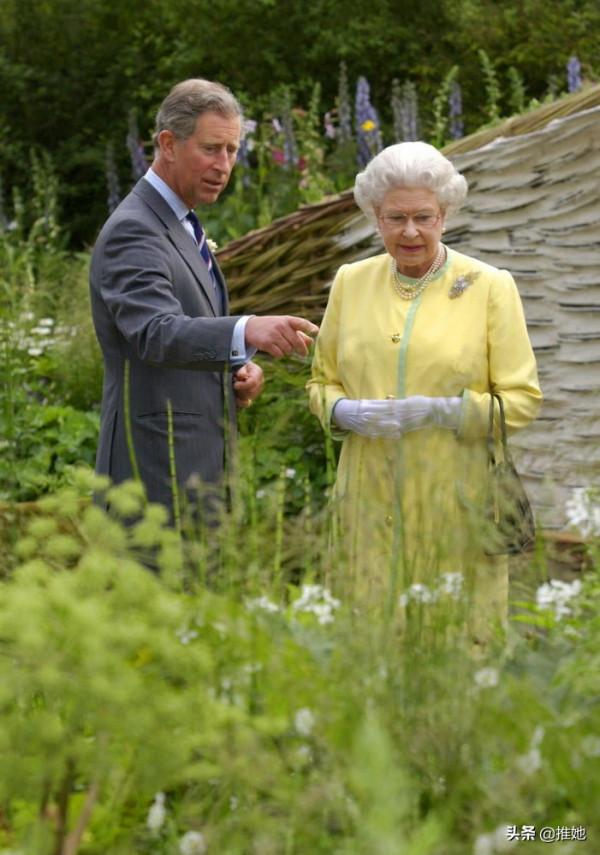 驚豔了109年,伊麗莎白女王的摯愛,又好看又好吃的切爾西花展 驚豔了109年,伊麗莎白女王的摯愛,又好看又好吃的切爾西花展