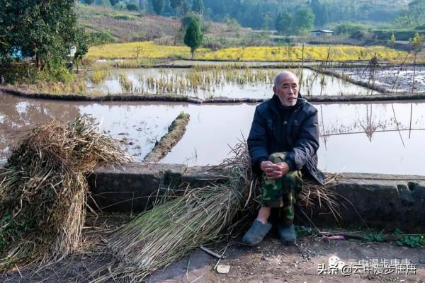 行走的風景——嶽池伏龍之二