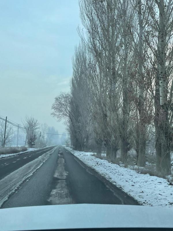 禾木、喀納斯之旅