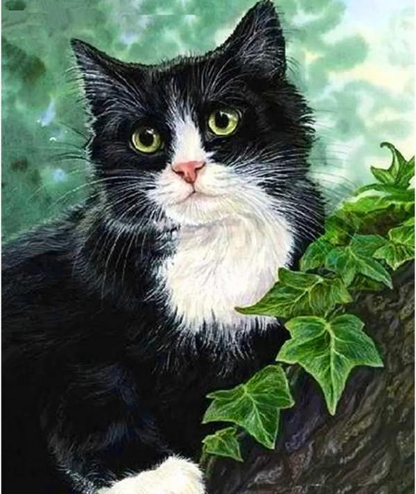 100種觀葉植物 | No.7 常春藤養護攻略