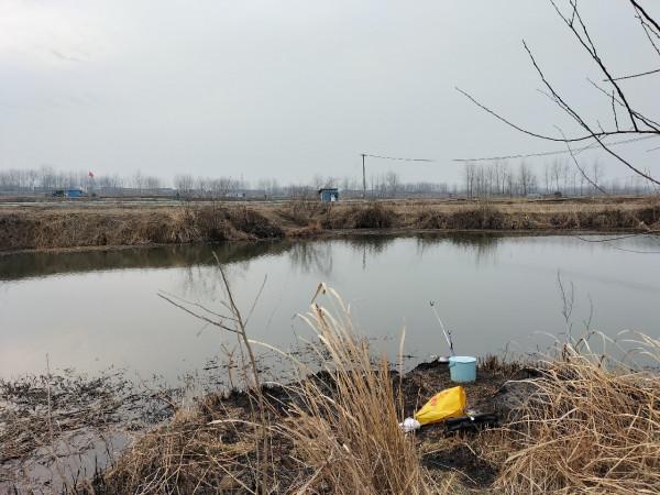 一起來尋&OpenCurlyDoubleQuote;巨物&rdquo;絕對是漁獲中的亮點