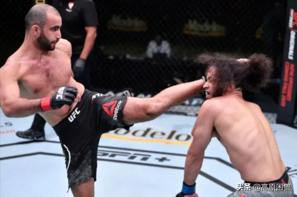 開年，就是王炸！2022年UFC第一場頭條主賽，鐵拳腿王大碰撞