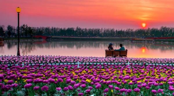 雙盤打坐超簡單的方法，讓你快速練成“全蓮花”！（實用）