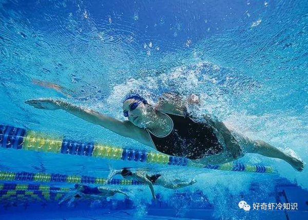 游泳時會出汗嗎?蛋白粉有用嗎?避免學習中的9個陷阱|冷知識 游泳時會出汗嗎?蛋白粉有用嗎?避免學習中的9個陷阱|冷知識