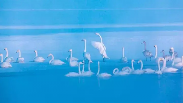 推薦8條美成仙境的自駕路線，人少景美，你去過幾個呢？