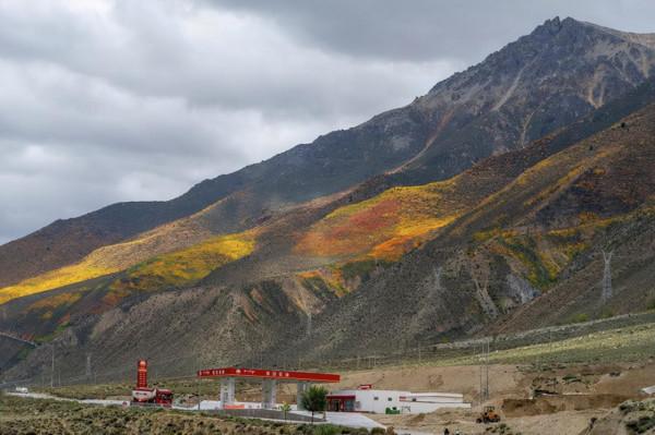 東達山埡口沒有停留，下山路邊拍了下高山草甸作留念