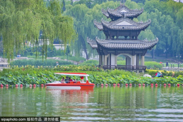 這幾個公園“上新”了，有菊花、蘭花、南瓜、石榴、山楂…