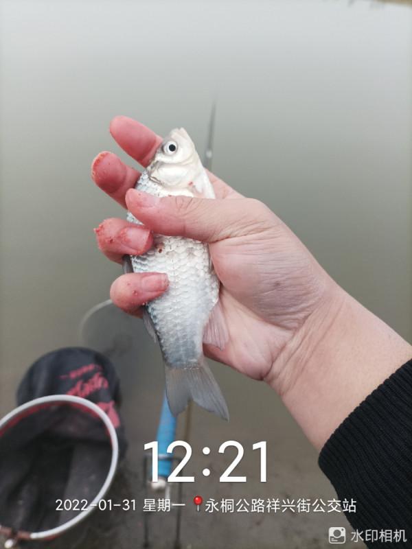 新年新氣象，虎年首釣完美爆護