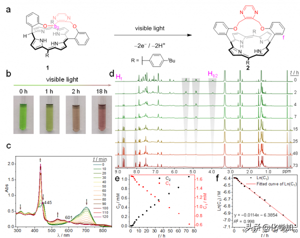 西湖大學劉志常課題組分子張力工程機械捕獲Phlorin中間體 西湖大學劉志常課題組分子張力工程機械捕獲Phlorin中間體