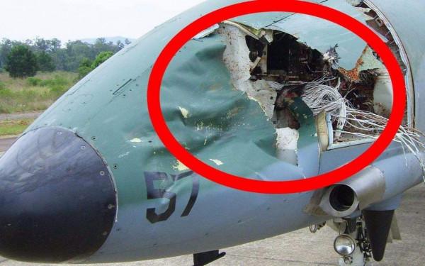 把麻雀放大一千倍，和F-22進行空戰，誰能取得勝利？