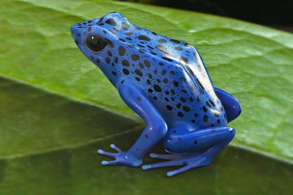 為什麼藍色在自然界中如此罕見？科學解釋