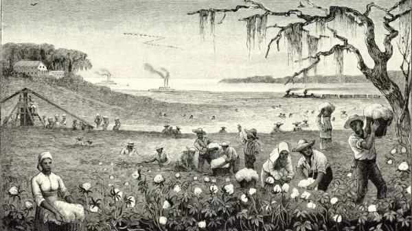 換個“平等”“自由”的新爹 換個“平等”“自由”的新爹