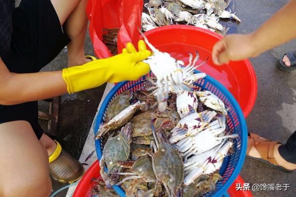 買梭子蟹：個頭大未必好，老漁民教你一招，個個“頂蓋肥”，太香