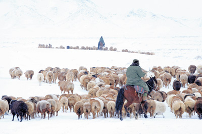 出國有什麼了不起?你來過新疆嗎? 出國有什麼了不起?你來過新疆嗎?