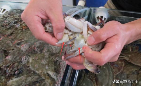 買梭子蟹：個頭大未必好，老漁民教你一招，個個“頂蓋肥”，太香