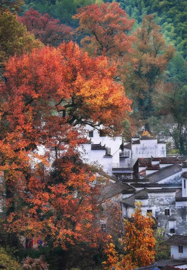 10月旅遊地推薦！錯峰出遊，這些地方已美成仙境