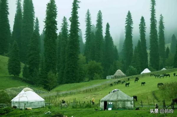 世界上最美的高山草原——那拉提草原