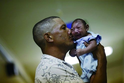 花蚊子到中國不足50年，導致人們無法乘涼，它到底是何方神聖？