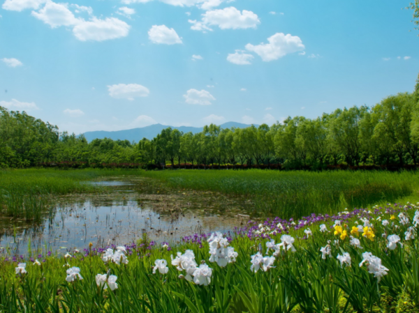 北京一“國家級公園”，入園需要提前3天預約，每年僅開放7個月
