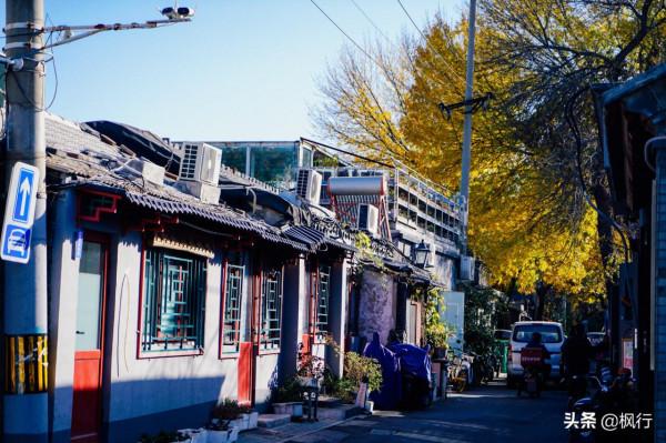 再有半個月，北京將迎來最美的季節，12個銀杏寶藏地，附機位攻略