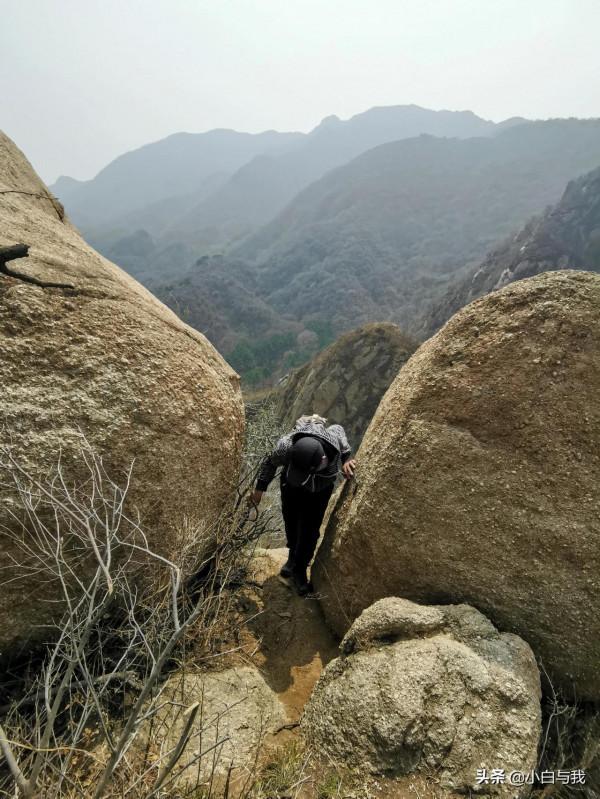 春回古長城，夢在杏花海。望殘垣斷壁，聽虎嘯聲威