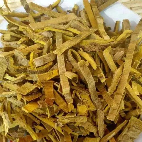 瞭解對藥澤瀉配黃柏的藥用功效，跟我學好中藥