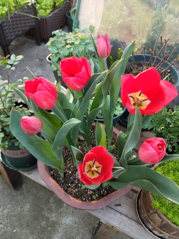 6種結婚用的手捧花，為了自己心愛的人，也要浪漫一回