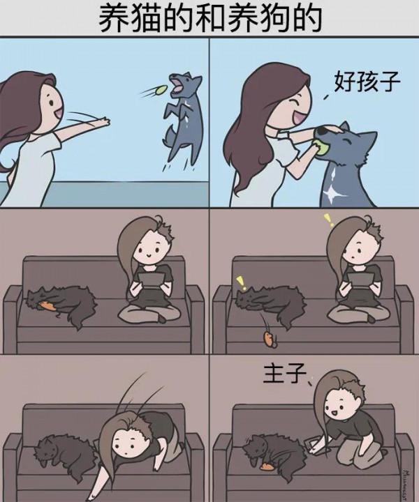 養貓鏟屎官與養狗鏟屎官的區別,太真實了 養貓鏟屎官與養狗鏟屎官的區別,太真實了