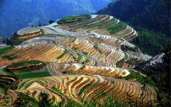 11月去哪裡賞秋?6個人少景美的旅行地,正是你要出發的方向 11月去哪裡賞秋?6個人少景美的旅行地,正是你要出發的方向