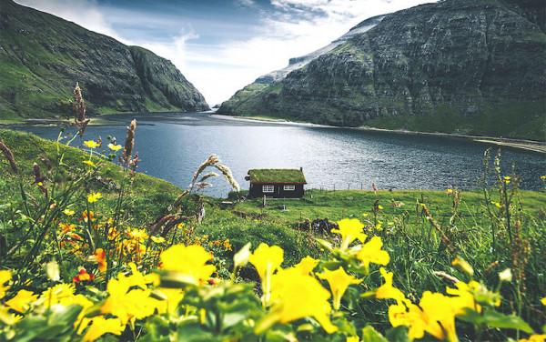 我們為什麼需要高階定製？這次是房子｜酷樂研究所