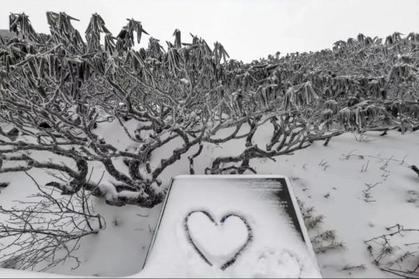 一夜之間 大理蒼山白雪茫茫