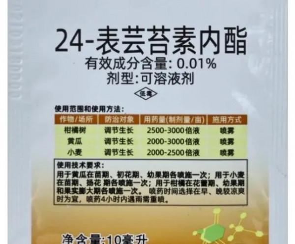 種植戶注意了,有這四類特徵的蕓薹素都是假貨,請不要購買 種植戶注意了,有這四類特徵的蕓薹素都是假貨,請不要購買