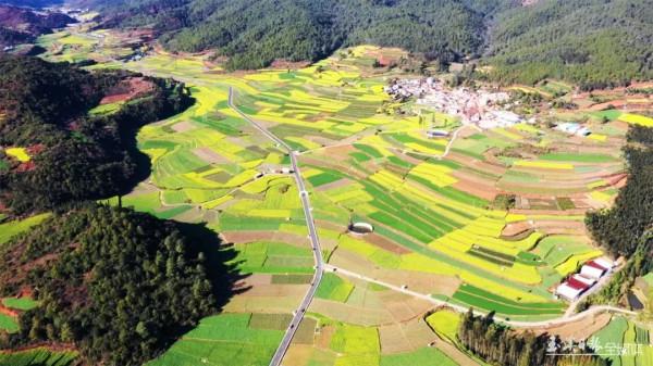 今天，宜到玉溪的油菜花田感受春天